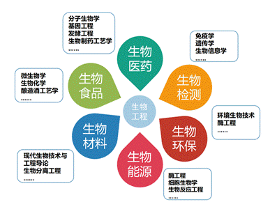 2024专业简介 图片合成学院网站(1)0617_01(7)