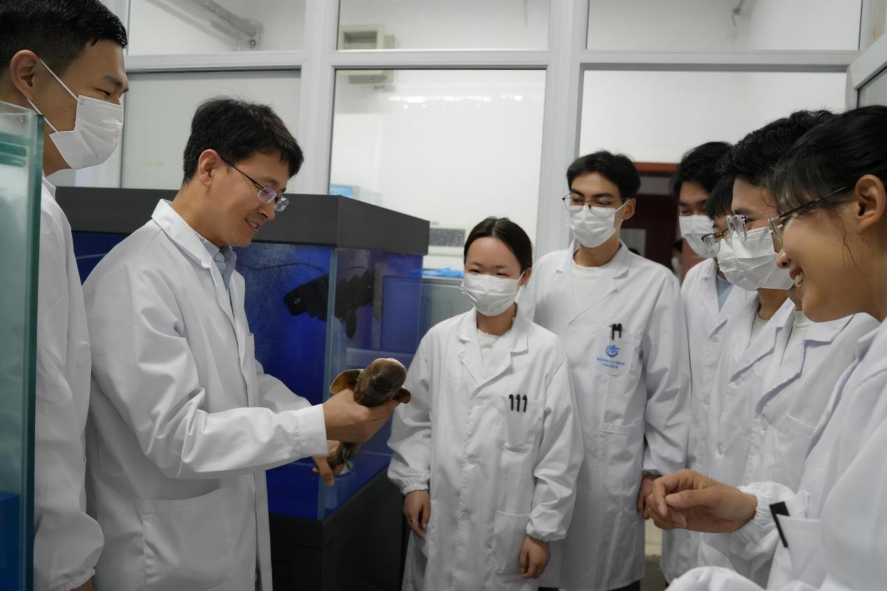 顾玉超教授(左二)指导学生做鲨鱼免疫实验。受访者供图